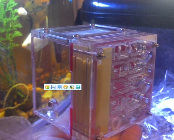 mini-ant-house (3)