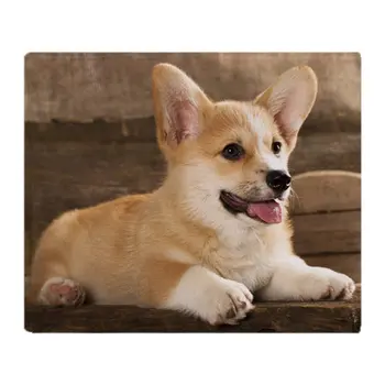 

Cardigan Welsh Corgi Soft Fleece Throw Blanket Throws Fleece Blanket Manta Coberto For Sofa/Bed/Car/Office