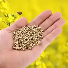 1000 шт./пакет латунь Пчеловодство глаз деревянная рамка пчеловод гнездо резьбы Hive Пасечник инструмент Аксессуары для улья apicultura 5pz