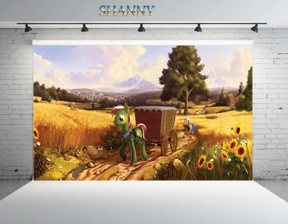 

SHANNY Vinyl Custom Photography Backdrops Props My Little Pony theme Photo Studio Background ML-06
