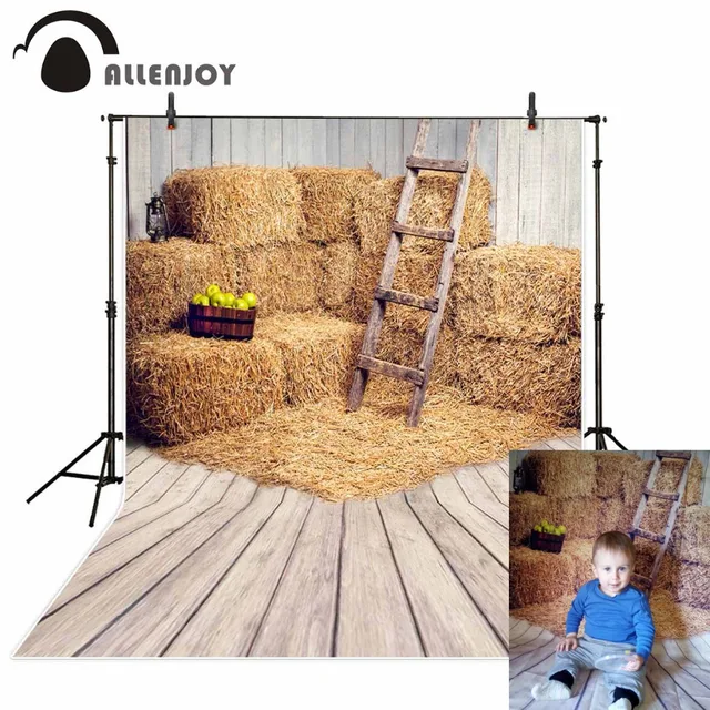 Allenjoy vinyl photography backdrop Nature Real Barn Straw Apple Photo new background photocall customize vintage background