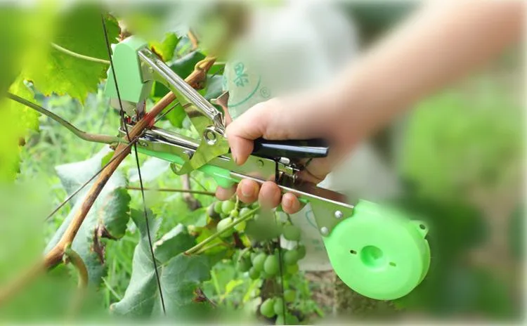 Машина садовые инструменты Tapetool инструмент для подвязки ветвей филиал упаковка овощей стволовых режущий инструмент виноград связывания винограда tapetool