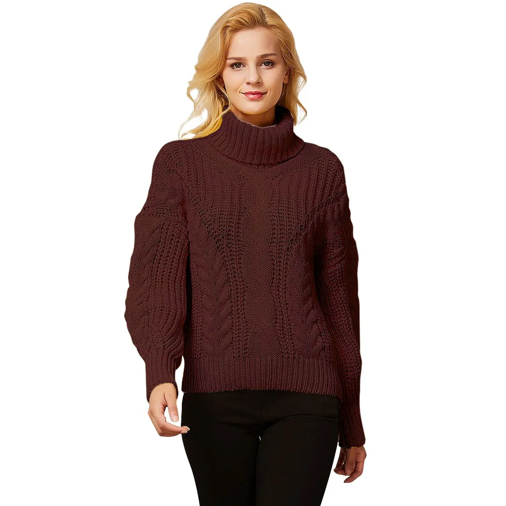 SAGACE, однотонный вязаный свитер с высоким воротом, Женские топы с длинными рукавами, женские Мягкие осенние пуловеры высокого качества - Цвет: Коричневый