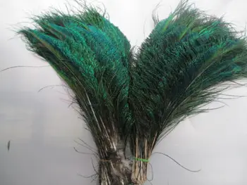 Ropa de decoración de la boda, 50 Uds., 12 - 14 pulgadas / 30 - 35 cm, Natural, pluma de pavo real