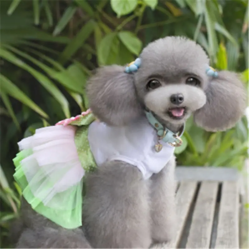 

Dog Clothes For Small Dogs Dress Spring Summer Puppy Small Dog Princess Chihuahua Dog Roupa Pet Cachorro