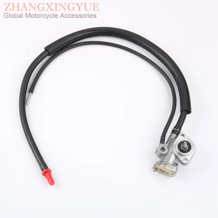 zhang1200025
