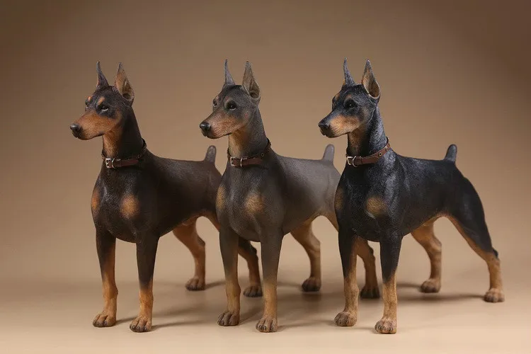 

Estartek Real Animal 10th DB001- DB003 1/6 German Doberman Statue for 12" Collectible Action Figure Sence DIY
