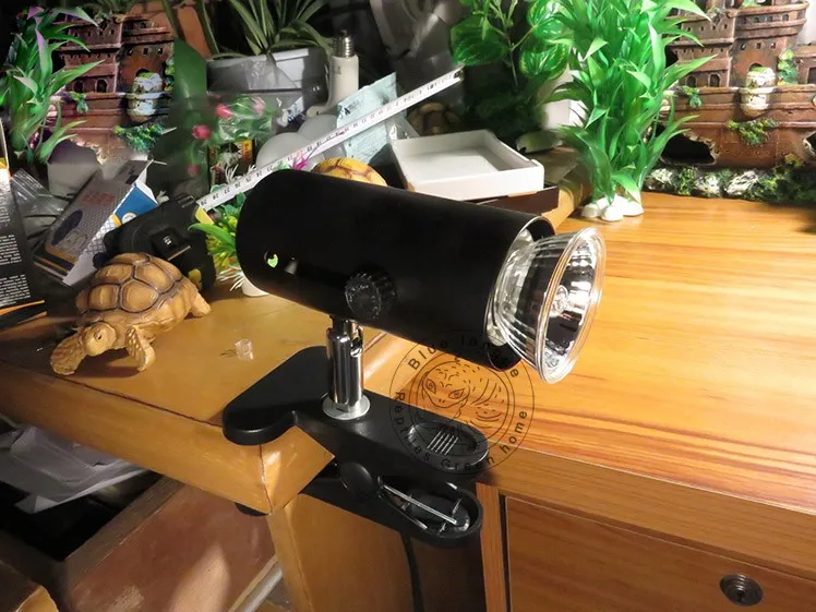 Sunning Heat Lamp 25~75 Watt Bulb, emits a broad-spectrum light, Provided A Basking Lamp Reptiles, Amphibians, And other Animals