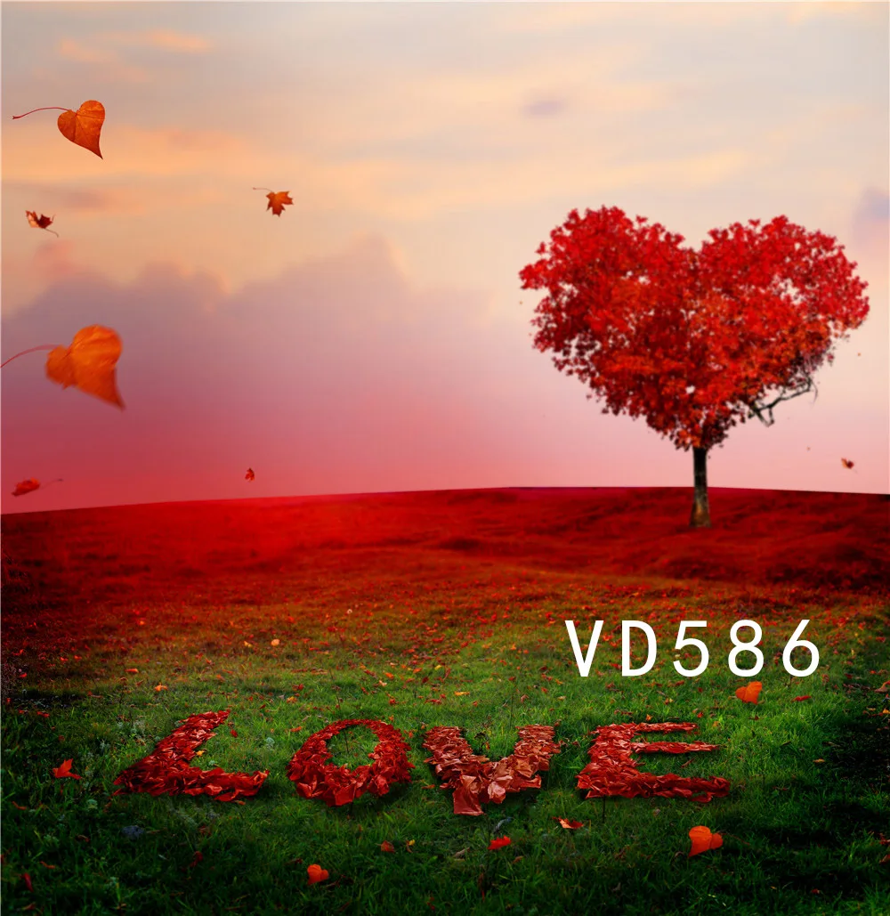 VD586