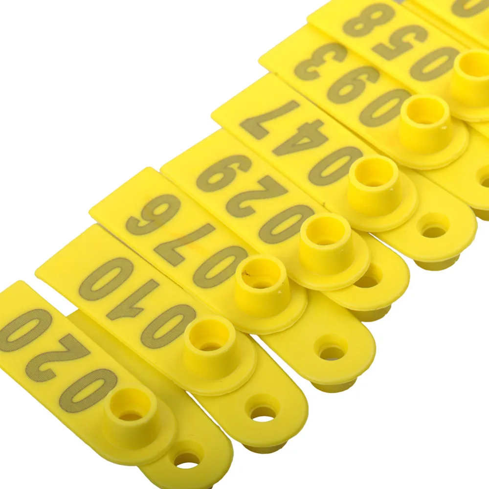 YW50-Yellow (2)