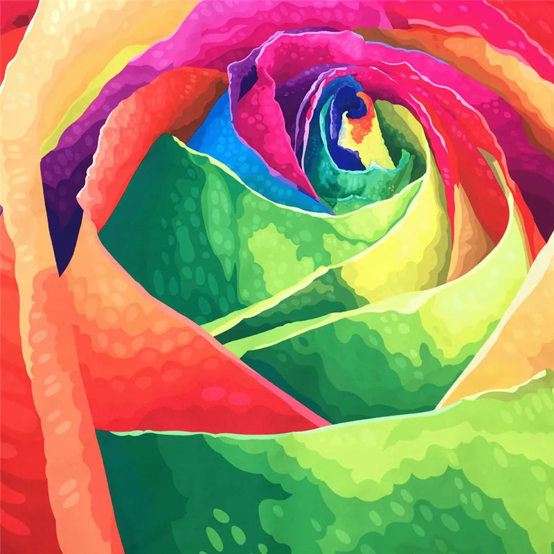 CQQ70210341_20170210030047424