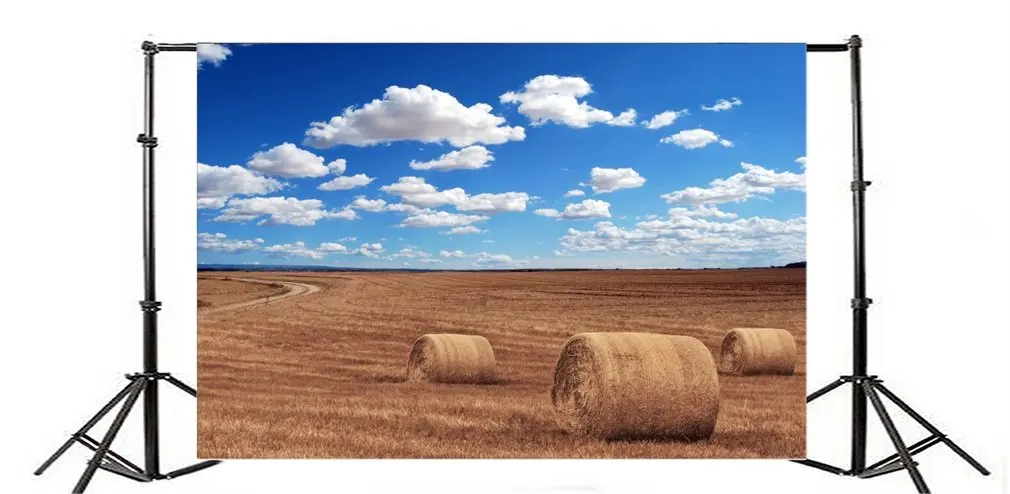 

Photography Backdrop Dry Rural Field with Hay Stacks Nature Harvest Landscape Blue Sky