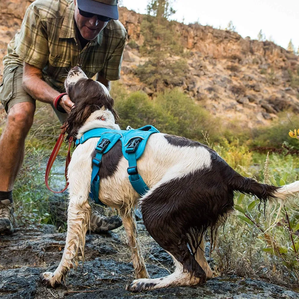 RUFFWEAR веб-мастер жгут