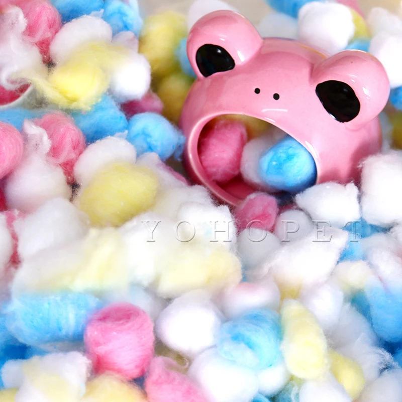 hamster in a house toy