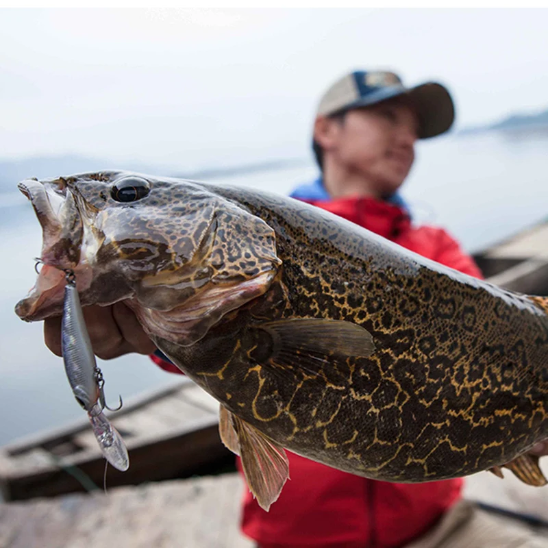 HTB1BkxRMFXXXXa1XpXXq6xXFXXXh