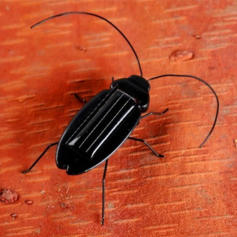 electronic cockroach toy