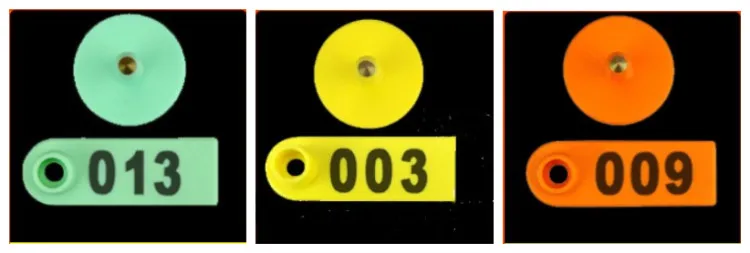 79__