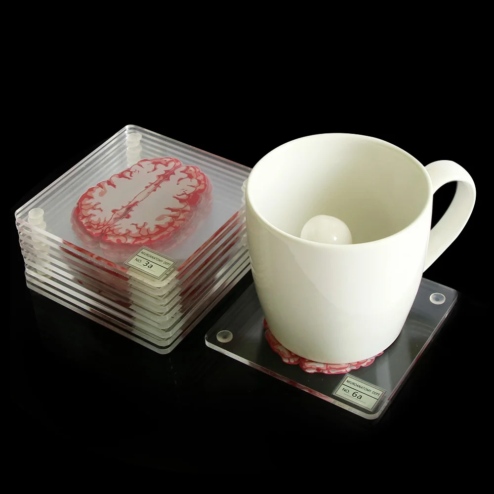 10Pieces/Set 3D Organ Brain Specimen Coasters Set Drinks Table Coaster Brain Slices Square Acrylic Glass  Drunk Scientists Gift