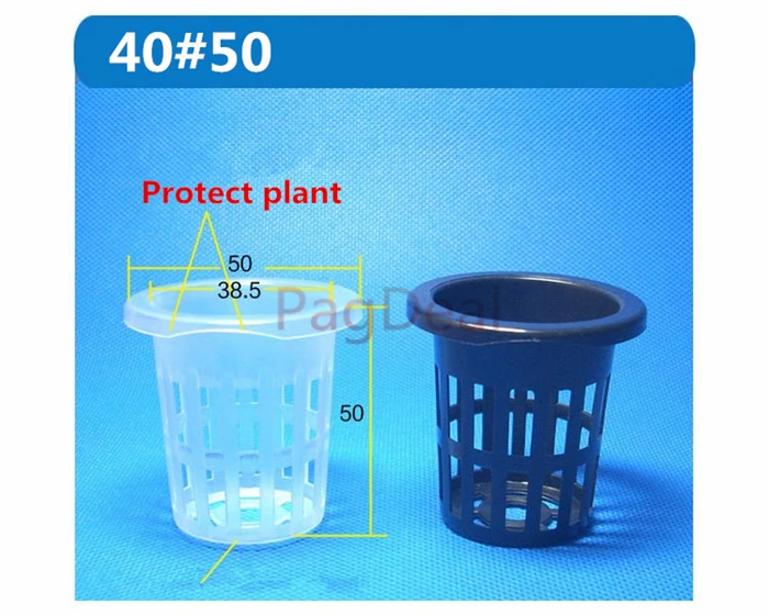 40#50_
