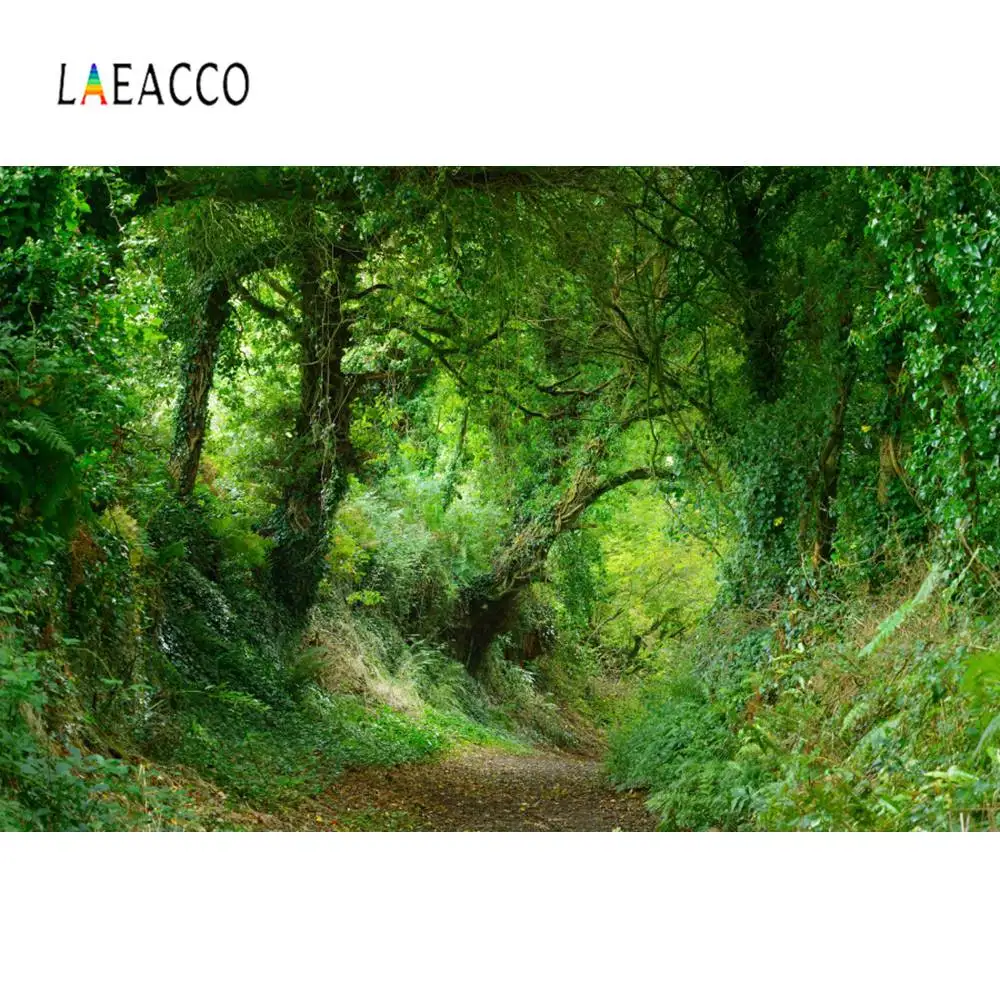Laeacco лес фоны зеленые джунгли Дерево Трава тайный путь вечерние фотографические фоны для фотосессия Фотостудия