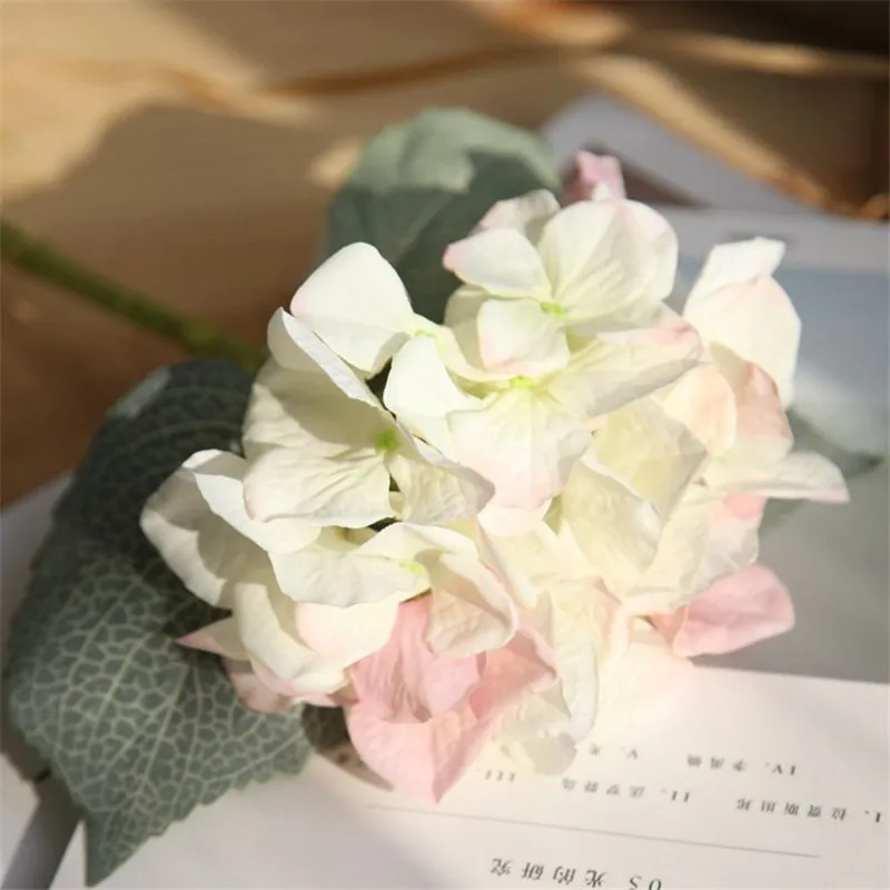 white pink