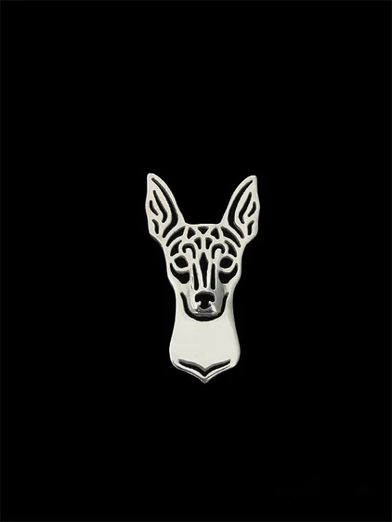 Toy Fox Terrier2