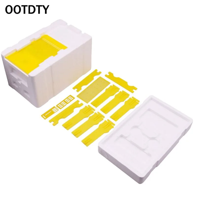 

Bee Hive Beekeeping King Box Pollination Box Foam Frames Beekeeping Tool Kit
