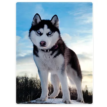 

Blanket Comfort Warmth Soft Cozy Air conditioning Easy Care Machine Wash white black husky huskie dogs