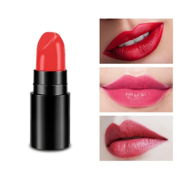 

12 Colors Matte Velvet Lipstick Kit Waterproof Long-Lasting Moisturizing Waterproof Colorfast Lipstick