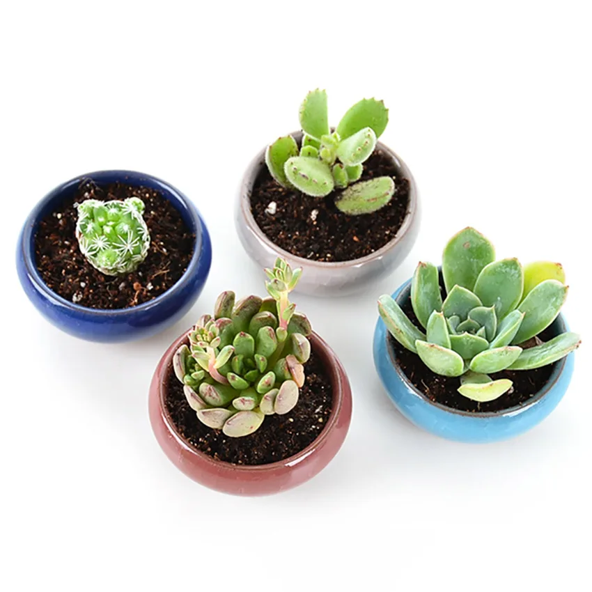 POT DE FLEUR,A--Pot De Plantes Succulentes En Céramique, Pot De Fleurs De Jardin De Forme Ronde