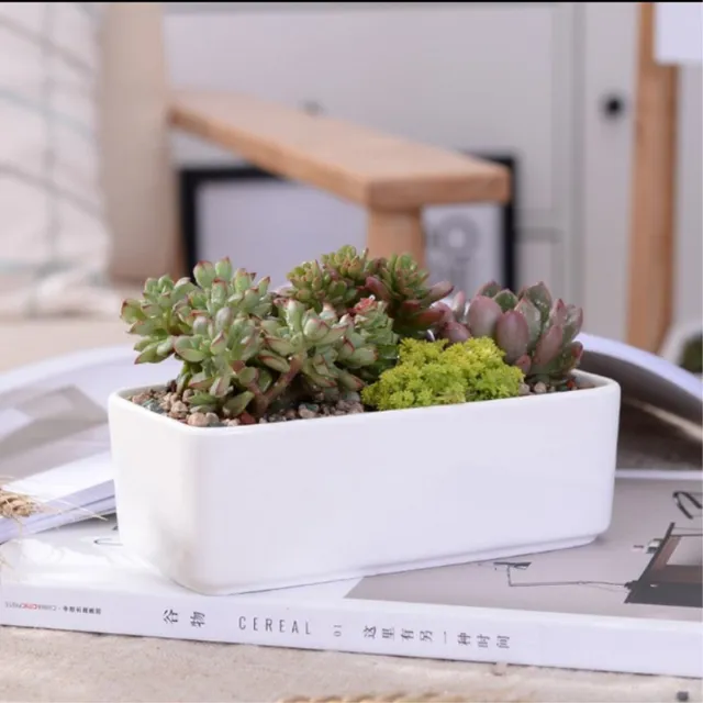 Kerámia Húsos Virágcserepek Minimalista Téglalap Fehér Zamatos Növényi Pot Porcelán Asztali Virág Zakka - Image 2