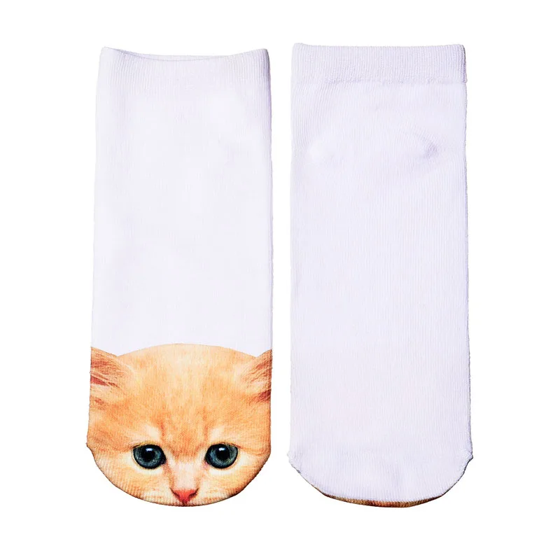 HTB1VYlzOXXXXXX2apXXq6xXFXXXU