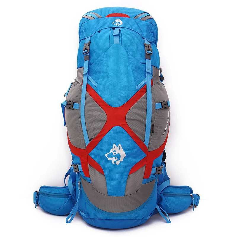 Высокое качество 65L открытый рюкзак походный Треккинг Рюкзак Molle сумки для туризма путешествия горный кемпинг рюкзаки сумка