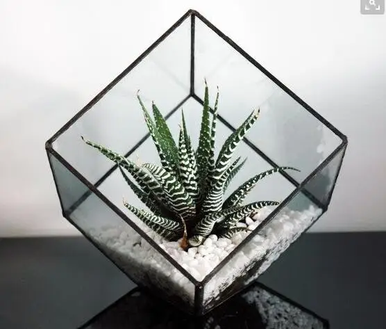 Кубическая форма растения припой стеклянный набор для террариума креативная Цветочная ваза стеклянные цветочные горшки для дома и сада Свадебные украшения