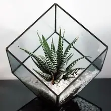 Кубическая форма растения припой стеклянный набор для террариума креативная Цветочная ваза стеклянные цветочные горшки для дома и сада Свадебные украшения