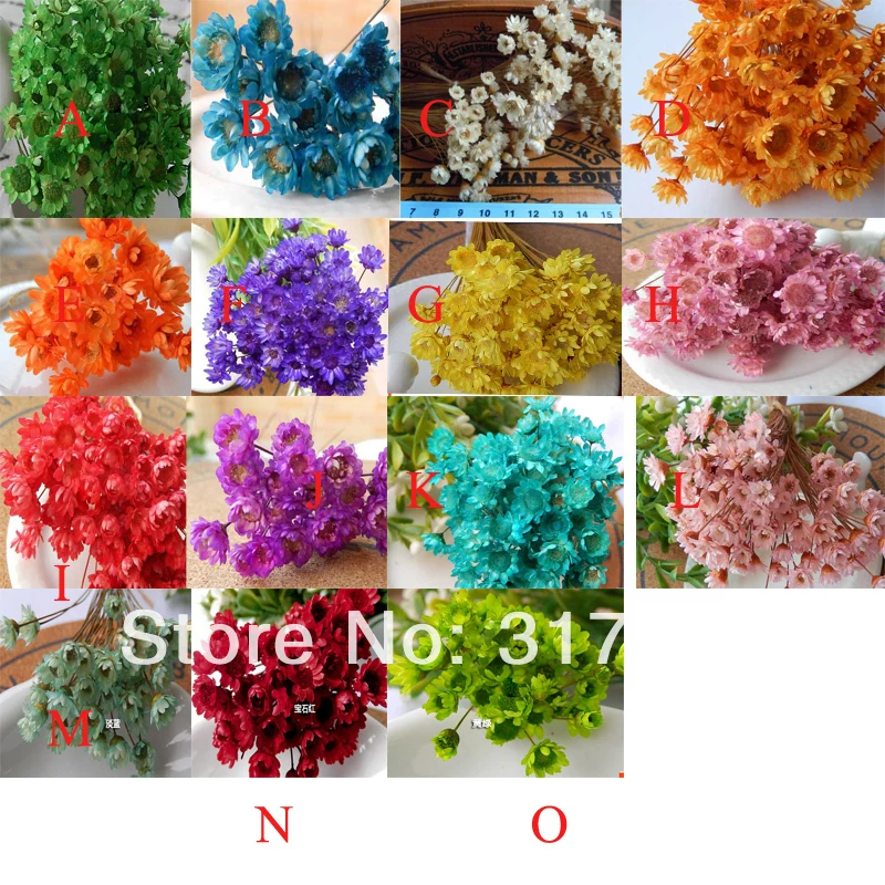 Новинка! 0 4-1 см смешанные цвета Chrysanthemum indicum сухой цветок подходит для стеклянных