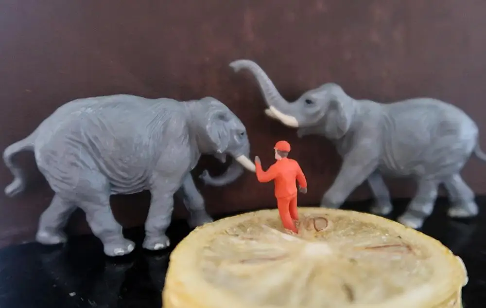 

1/87 Model Train Ho Scale Elephant and Breeder Diorama Miniatures Figures Sand Table Model Scene Macro Photography Props