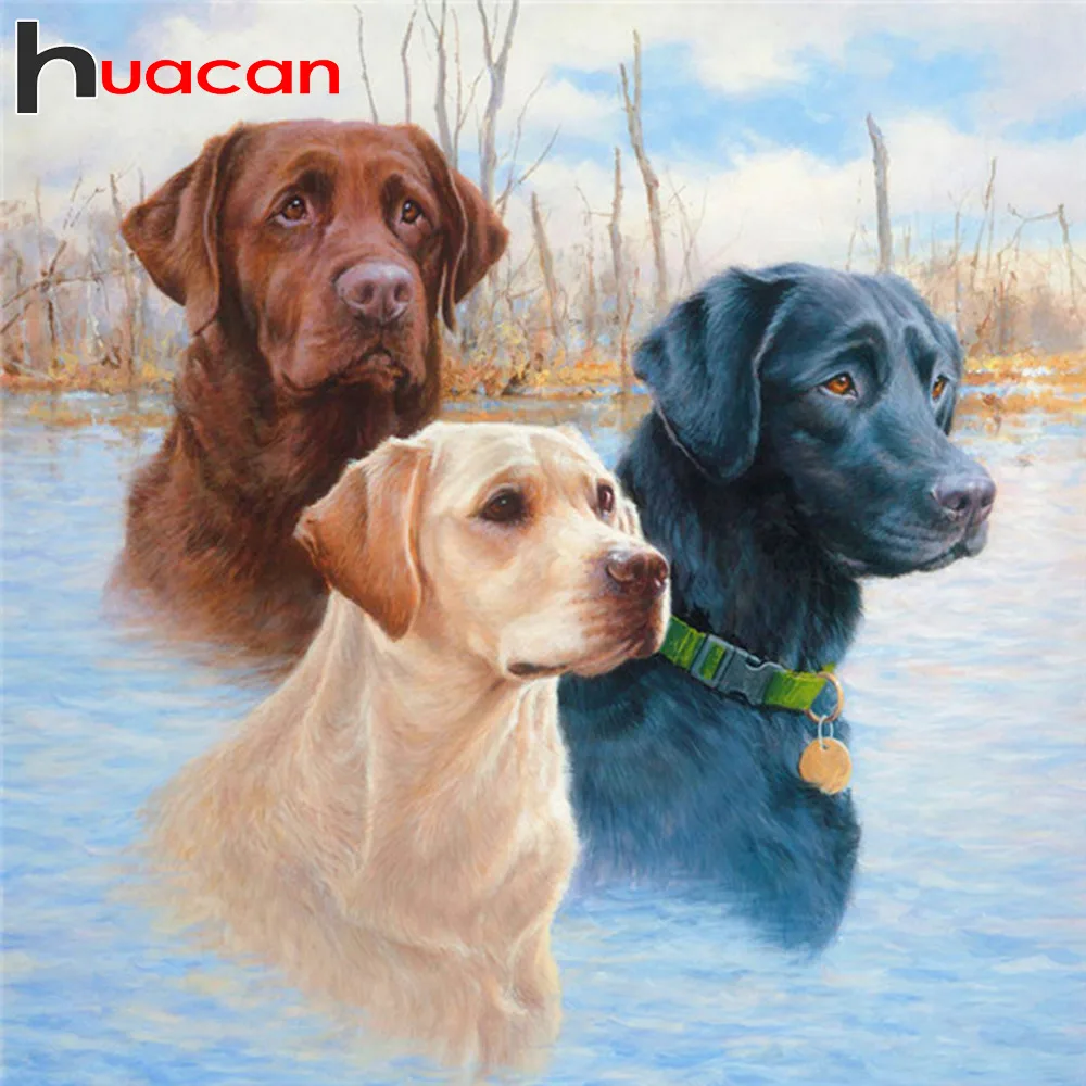 

Huacan Diamond Painting Accessories Square/Round Stones Dog DIY Full Diamond Embroidery Complete Kit Animal Home Decoration