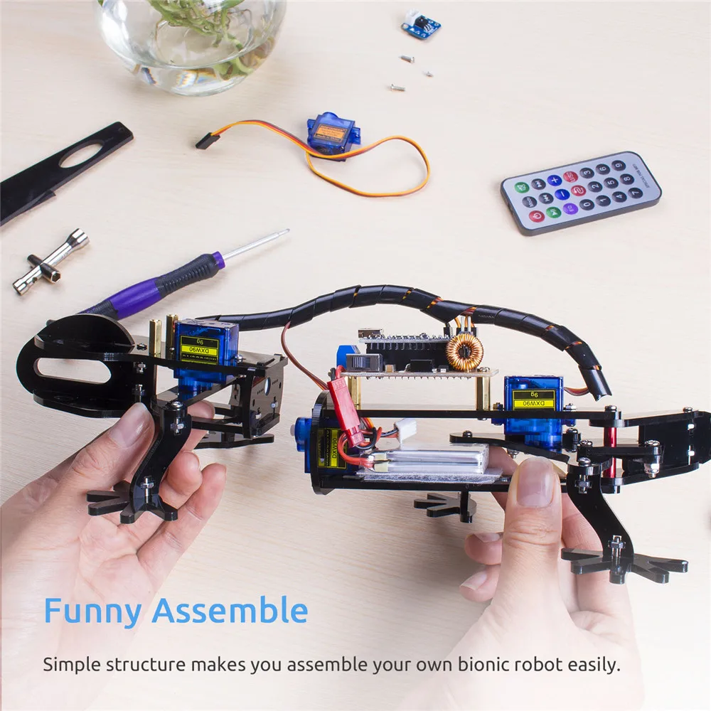 DIY Educational Robot  (6)