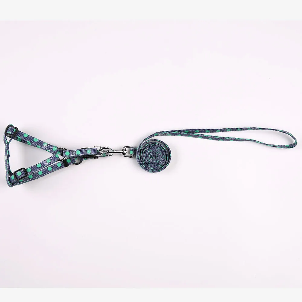 SKU-4 dog leash and harness set