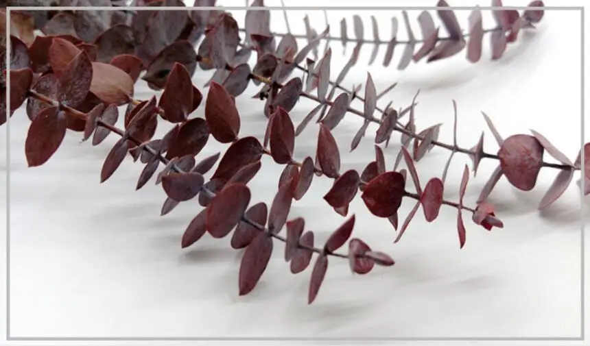 -3