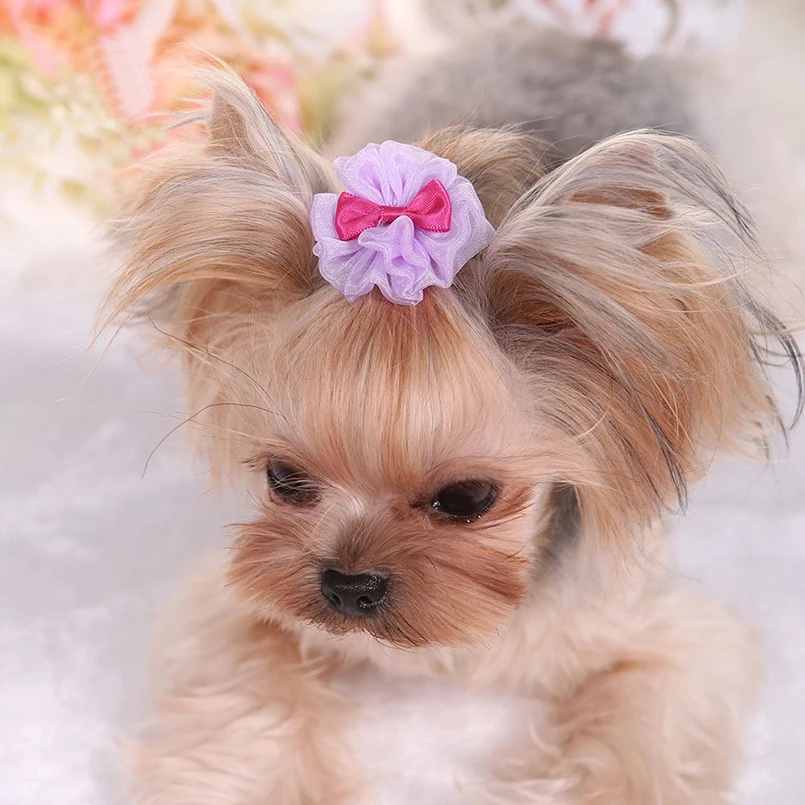 Classic Pet Bows For All Cats Dog Bow Hairpin Headdress Dogs Hair Cachorro Accessories | Дом и сад