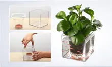 Free shipping,15*15cm,2set/lot.wholesale,big Creative fish flowerpot automatic lazy pots desktop plants potted fish tank water