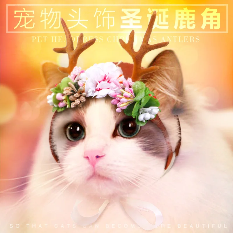 5pc font b Pet b font autumn hair clips font b Pet b font font b
