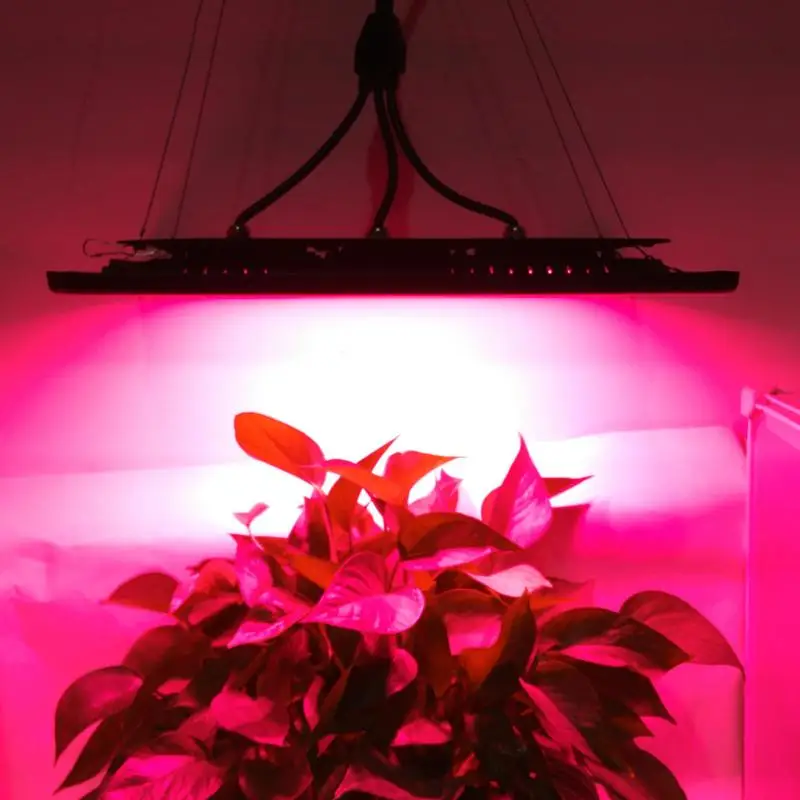 

Plant Growth Lamp Indoor For Vegetable Hydroponic Spectrum LED Greenhouse
