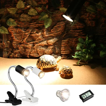

Reptile Lamp Set UVA UVB Flexible Clamp Lamp Holder Thermometer Hygrometer Turtle Tortoises Basking Lamp Heat light Kit Hot Sale