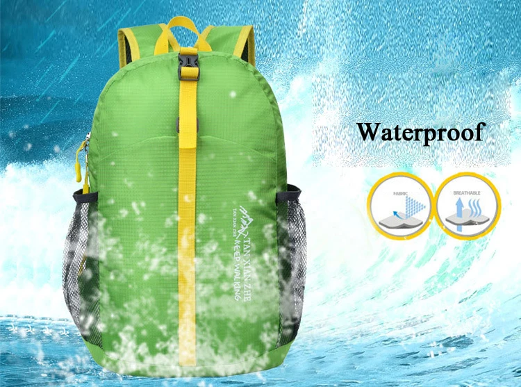 2219359562_741038267