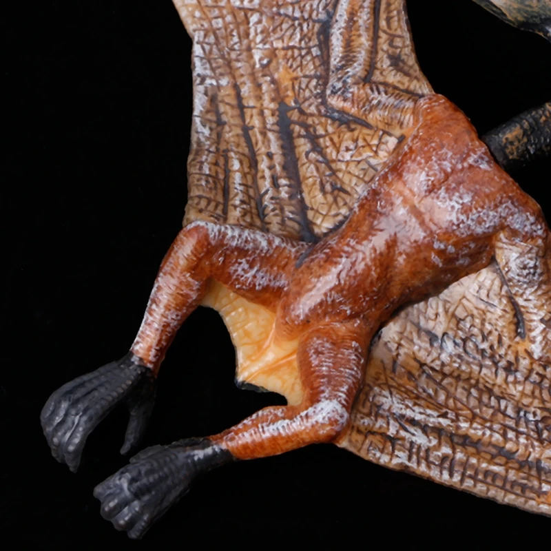ZJL220 Pterodactyl Dinosaure Action Figure Jouets Main Marionnette Enfants Mod/èle /Éducatif