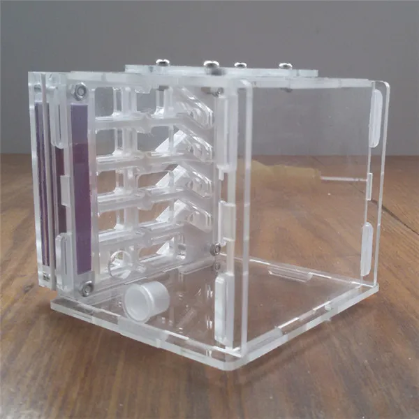 T2-Ant-nest (1)
