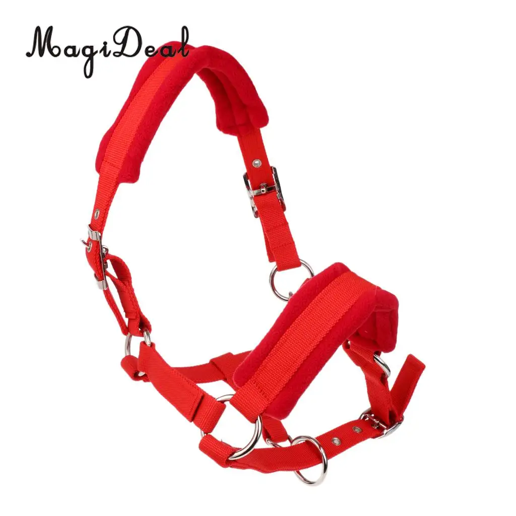 Soft Padded Adjustable Horse Head Collar Halter Large Size Fits for 1.5m above Height Horse + 2.5m Braided Horse Lead Rope